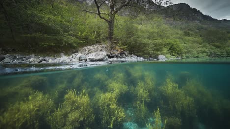 a mesmerizing over-under view of a serene fjord, its rocky shores draped in lush greenery