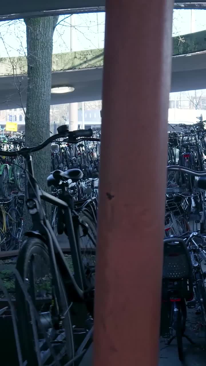 Bicicletário Lotado com Muitas Bicicletas em Suportes
