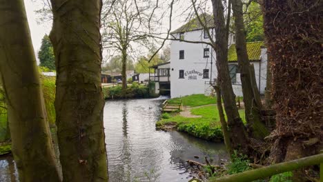 landscape showing old white washed water mill with mill pond and woodland surrounding