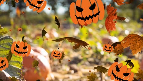 Animation-of-leaves-falling-over-pumpkin-icons