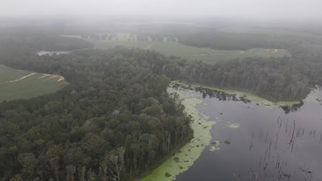 Drohne-Fliegt-Durch-Den-Nebel-über-Wasser-Mit-Bäumen-An-Der-Wasserlinie