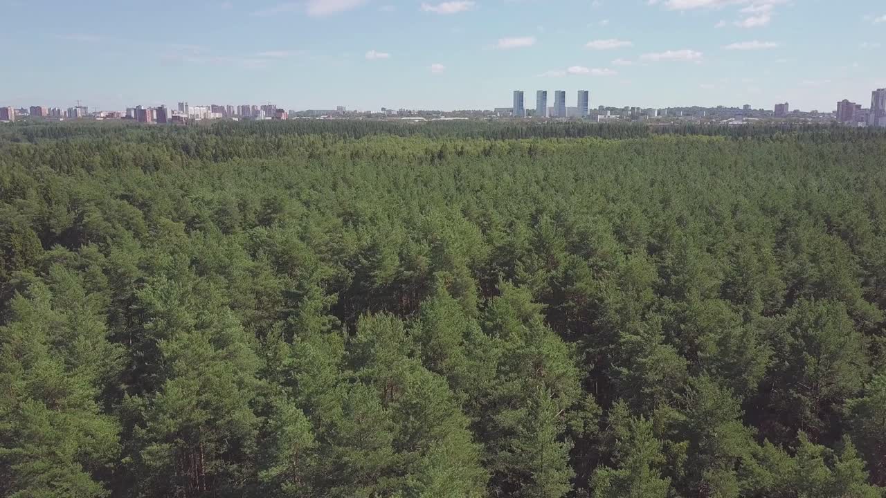 Forest and Cityscape Aerial View