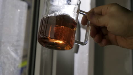 hand holding a glass cup of tea by a window