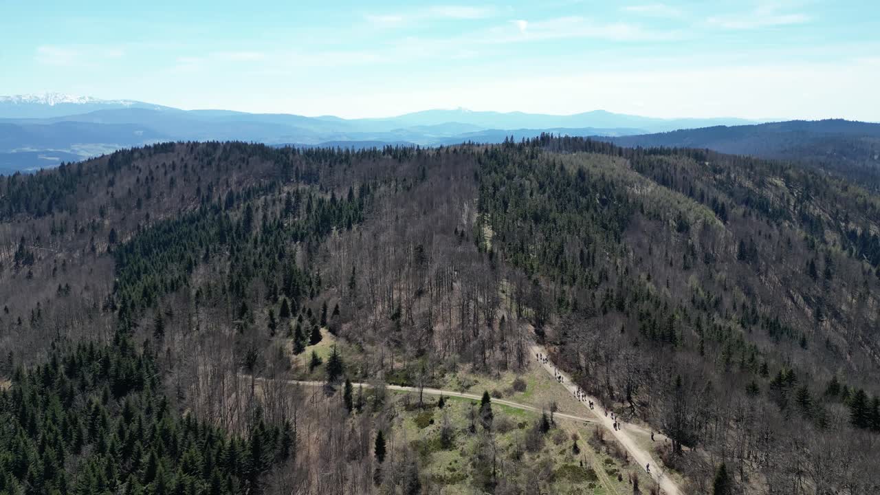 montañas durante un día de verano con picos de montañas, bosque, vegetación exuberante y árboles