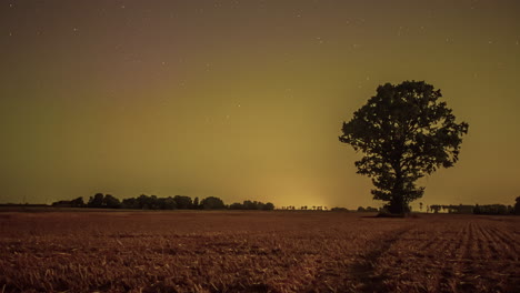 Toma-Nocturna-De-Cielo-Estrellado-Con-Aurora-Visible-En-La-Constelación-De-Estrellas