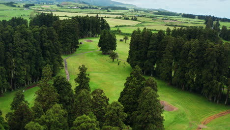 toma cinematográfica de un dron aéreo del campo de golf verde