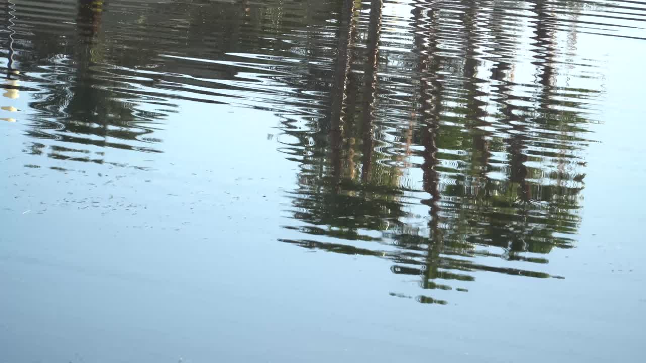 Trees and clouds ripple in the waves at a pond 