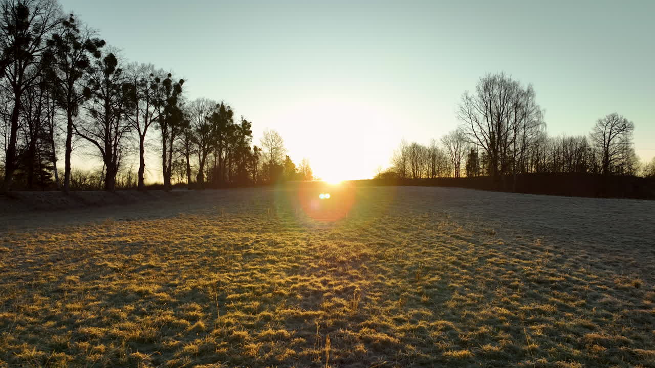 Frosty rural meadow with trees at sunrise, golden morning light in winter landscape