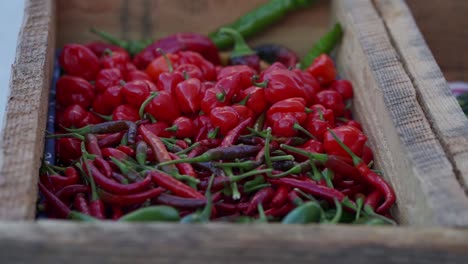 chile peppers in basket at farmers market