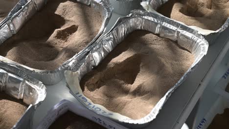 sand and soil samples in containers in a laboratory for chemical testing