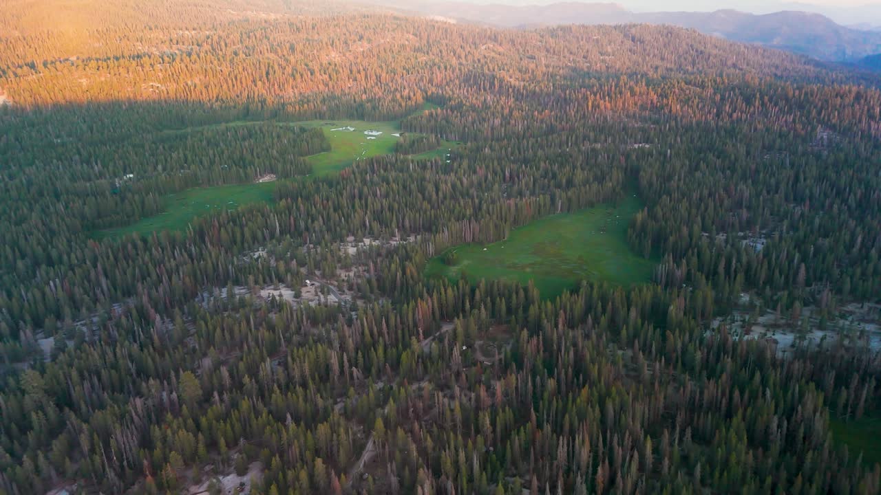 Redwood Mountain Forests In Sequoia National Park In California, United States. Aerial Drone Shot