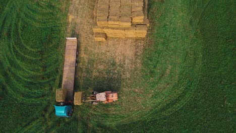 farmer unloading round bales of straw from hay trailer with a front end loader. store hay at farm.