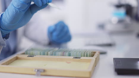diapositivas de microscopio, ciencia