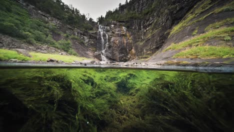 paisajes acuáticos tranquilos se mezclan en armonía mientras las rocosas orillas de los fiordos se encuentran con malezas flotantes