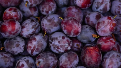 Frische-Pflaumen-Rotieren.-Obst-Hintergrund.-Gesundes-Lebensmittelkonzept