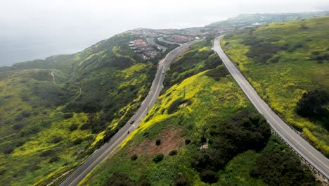 Car-driving-along-coastal-road-in-Rancho-palos-Verdes-California-with-yellow-wildflowers