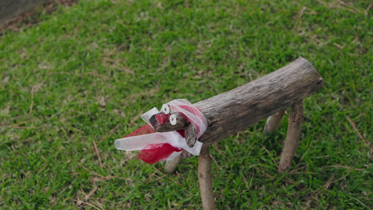 handmade animal figure crafted from wood with red and white ribbon tongue on grass
