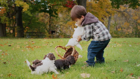 an asian toddler carries a small puppy to a basket. children play with pets