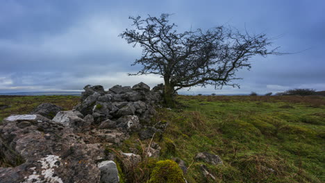 Timelapse-of-rural-nature-farmland-with-tree-and-stonewall-in-the-foreground-during-cloudy-day-viewed-from-Carrowkeel-in-county-Sligo-in-Ireland