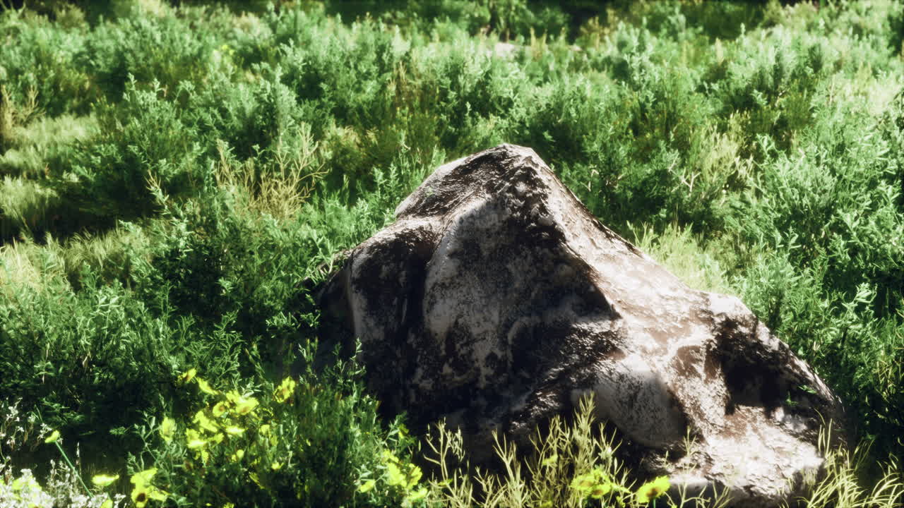 가을 색의 건조한 풀과 돌