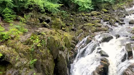 cascading waterfall in lush green forest