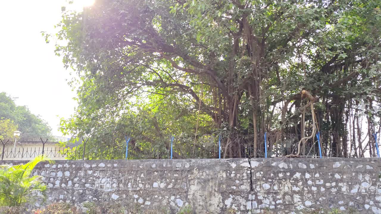 나비 바이, 마하라슈트라, 인도, 2022년 1월 29일, 인도 해양 대학 나비, 바이 캠퍼스