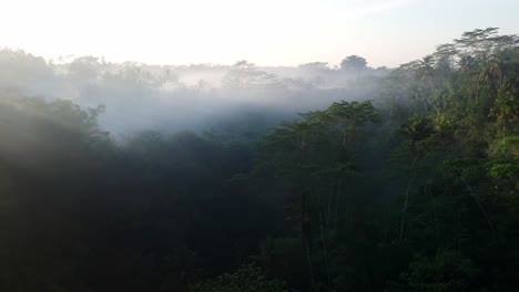 Luftaufnahme,-Die-Zwischen-Den-Hügeln-Mit-Palmen-Und-Bäumen-In-Einem-Wunderschönen-Und-Geheimnisvollen-Tropischen-Regenwalddschungel-Auf-Bali,-Indonesien,-Fliegt