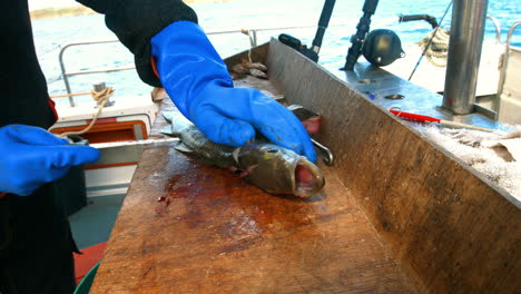 pescador que hace filetes de pescado