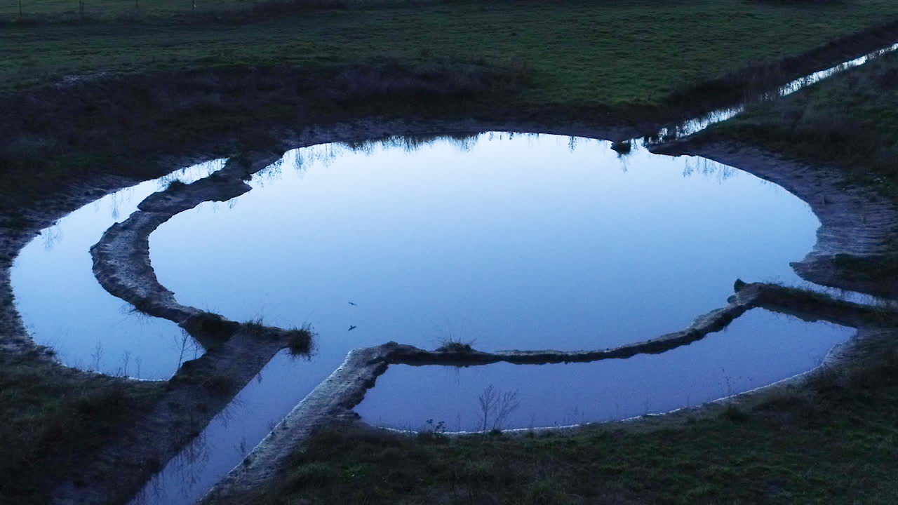 추상적인 물 집수 주위를 이상한 방식으로 날아다니는 새의 영화적 관점