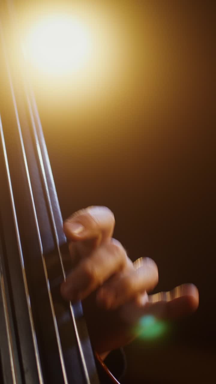 Cellist in Performance