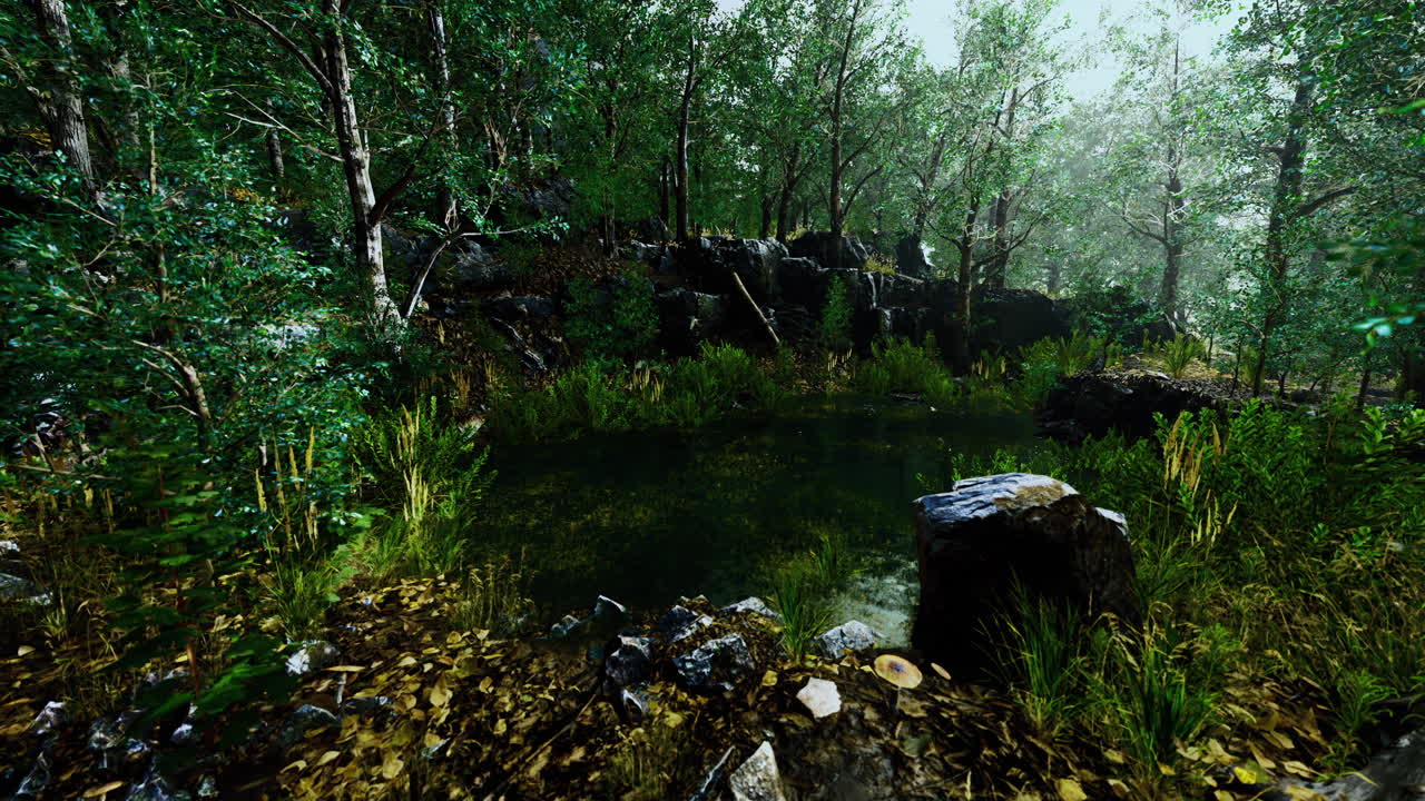 Hidden tranquility in a lush forest oasis surrounded by vibrant foliage