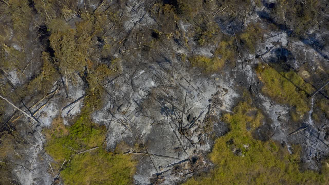 vista aérea ascendente revela el daño causado a la selva amazónica de brasil por los incendios forestales