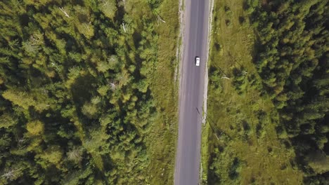 vista aérea de la carretera a través del bosque