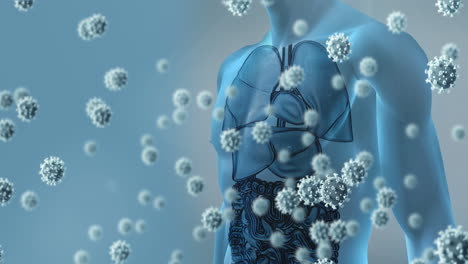 animation of falling viruses cells over human body model