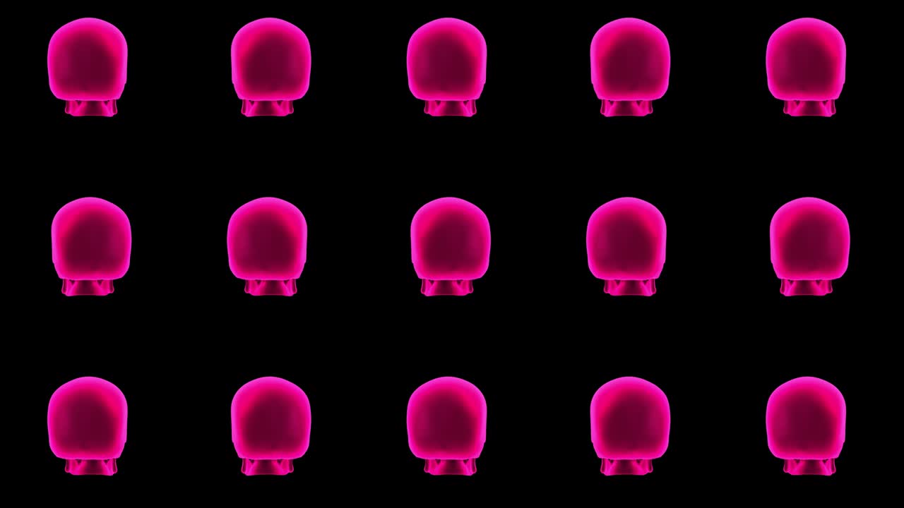 Pink skulls halloween background. 3d skull rotating on black background.