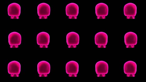 pink skulls halloween background. 3d skull rotating on black background.
