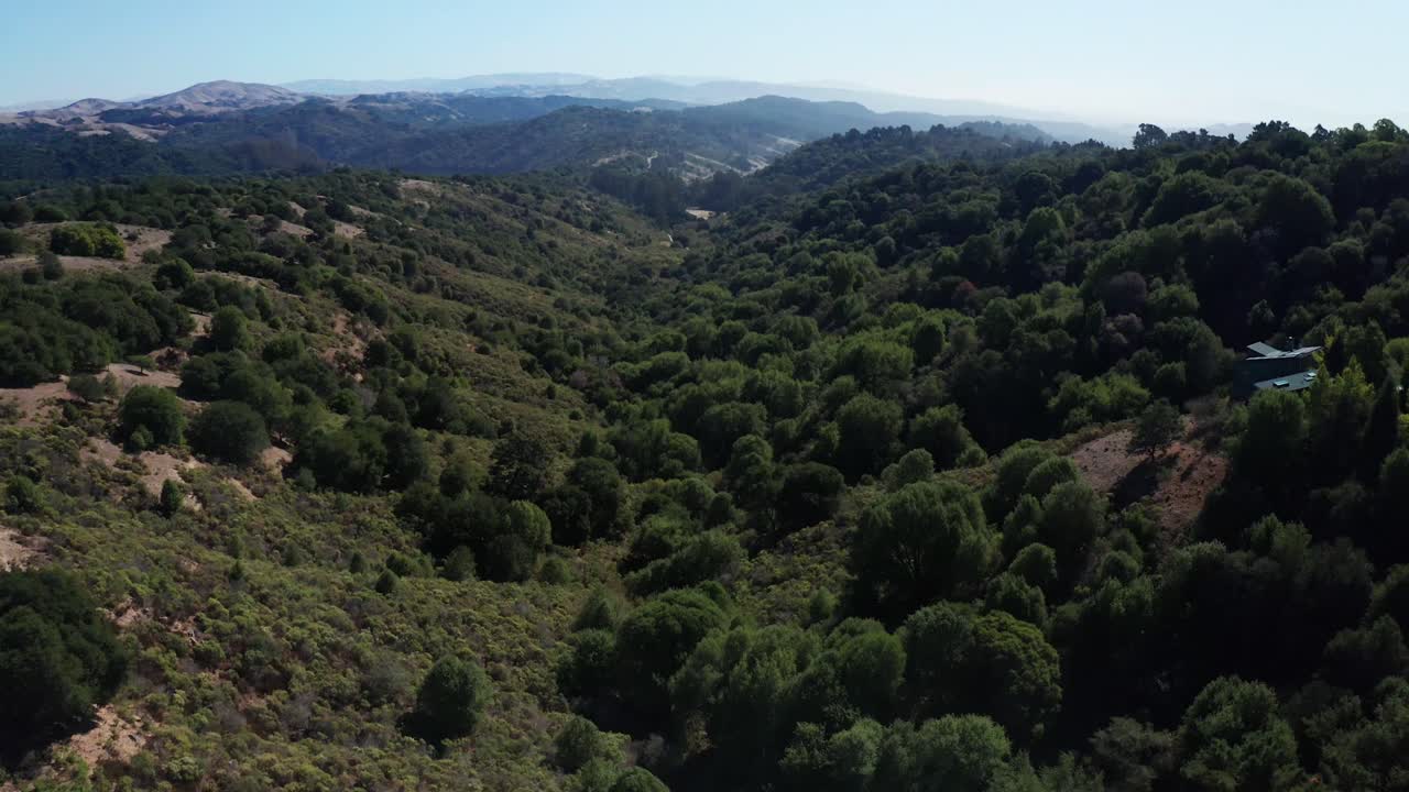 Una lenta panoramica verso il basso attraverso la valle in una giornata di sole nel bosco.