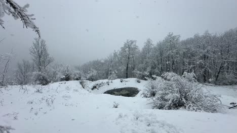 Maravilloso-Paisaje-De-Nevadas-En-El-Bosque-Estanque-Del-Lago-Congelado-En-Las-Tierras-Altas-El-Paisaje-Natural-De-La-Montaña-Cubierta-Por-Colinas-Del-Bosque-Nevado-Fondo-Blanco-Punto-De-Vista-Escénico-Natural-En-El-Turismo-De-Irán