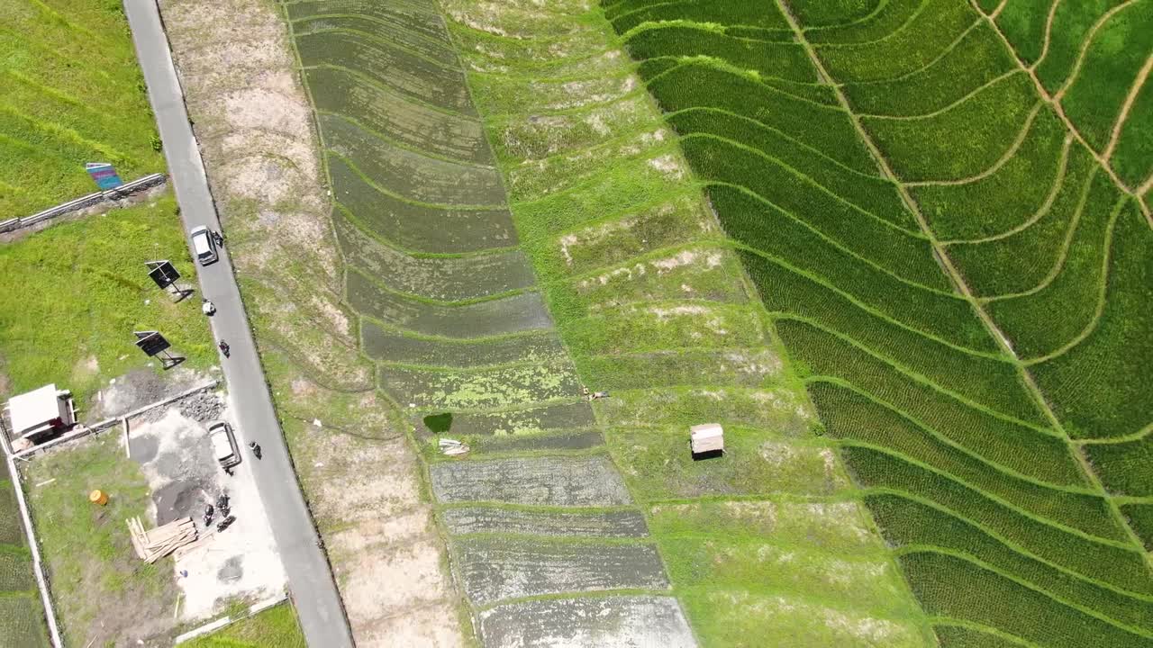vista aérea de campos de arroz asiáticos estampados en canggu bali con una carretera estrecha que se cruza