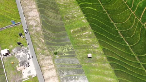 Luftaufnahme-Von-Gemusterten-Asiatischen-Reisfeldern-In-Canggu,-Bali,-Mit-Einer-Sich-Kreuzenden-Schmalen-Straße