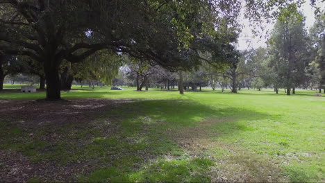 vuelo de drones de baja altitud a través de árboles en el parque de la ciudad