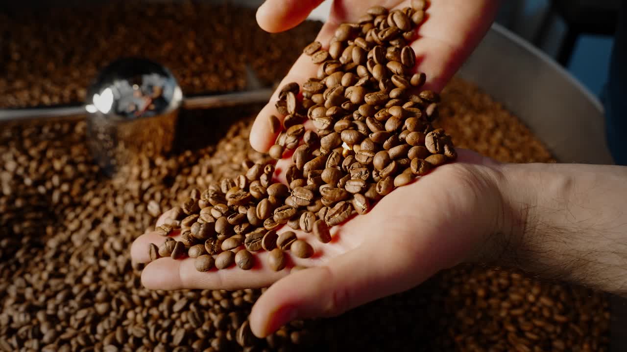 Coffee Beans Being Handled During Roasting