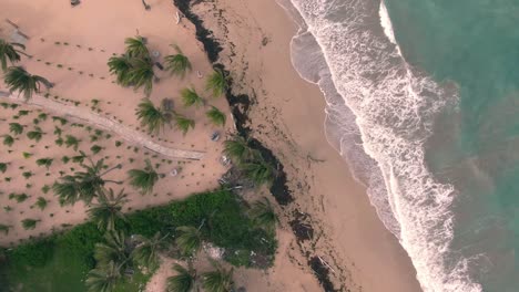 Punta-Cana-Beach-In-Der-Dominikanischen-Republik,-Drohnenflug