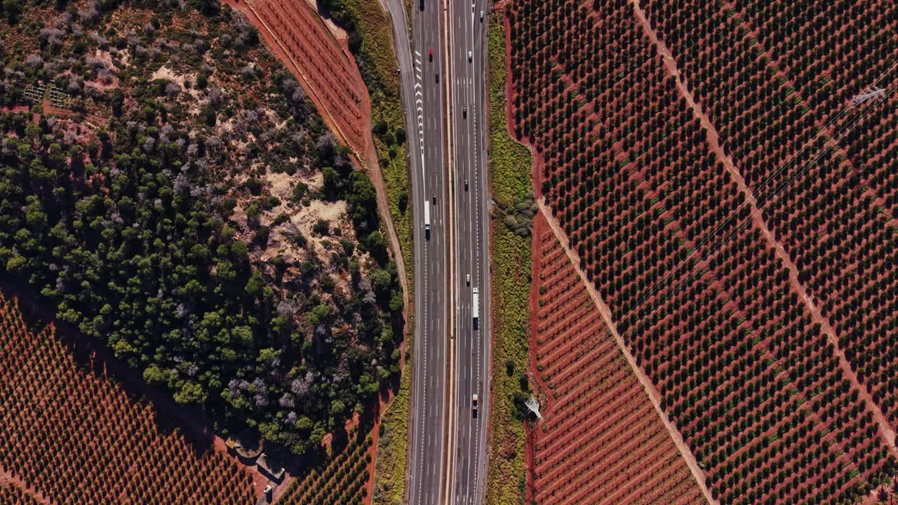 Guidare attraverso i vigneti in Spagna in una giornata di sole