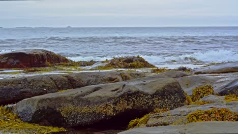 view of open sea on a overcast day