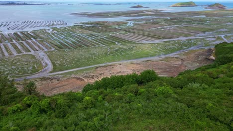 Drone flight from Brittany cliffs to visible oyster farms at low tide with rocks and paths - France