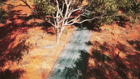 a lonely dirt road in the australian outback