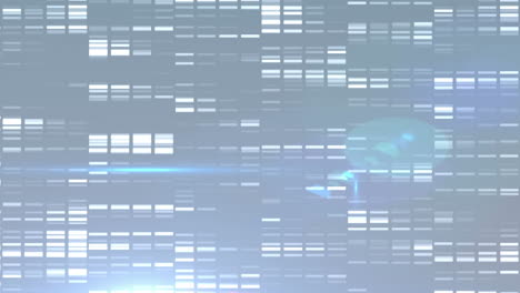 animación de elementos parpadeantes y procesamiento de datos