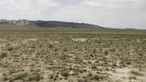 Mountains-beyond-arid-steppe-with-bush-turfs-in-Vashlovani,-Georgia