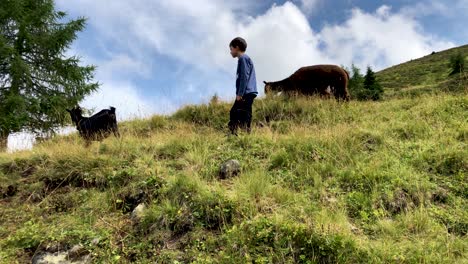 Cute-young-boy-approaching-and-trying-to-pet-a-goat-on-top-of-a-mountain